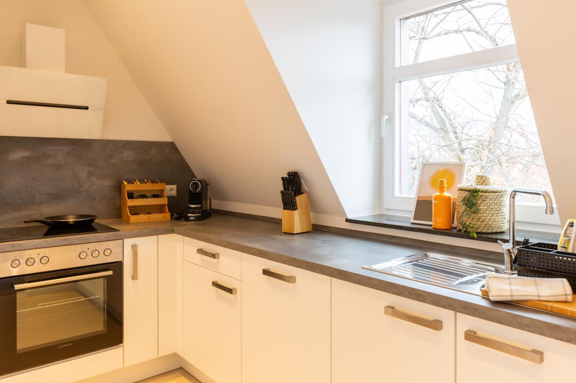 Soulscape Apartments Zwickau Kompakter Loft-Wohnraum Mit Lift Direkt In Die Wohnung, Modern, Zentrumsnah, Gratis Wifi Eksteriør bilde